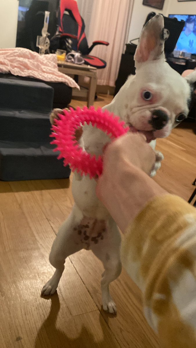 Tyler Curtis tweet media