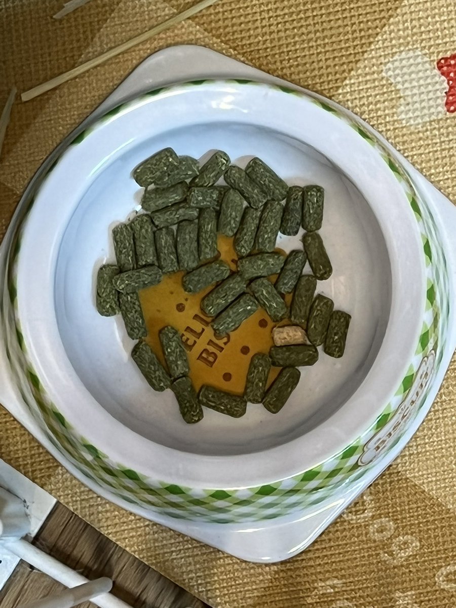 sea50dayo's tweet photo. うちのハルさん。3種類のペレットを混ぜていますが、一番安いペレットは残して、お腹が空いたら最後に食べるという、グルメなお嬢になってます😆
#うさぎ
#うさぎのいる暮らし https://t.co/VpKTDnmo1s