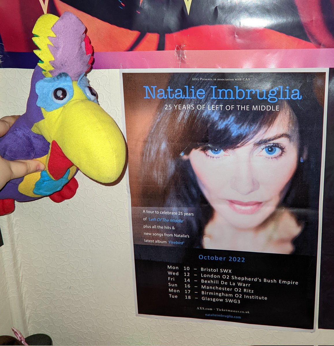 I was absolutely chuffed to get this poster of Natalie Imbruglia tonight & put it on my bedroom wall. Of course, I had to take some photos of Mr. Cadbury's Parrot posing with it too, LOL! 😃🤣😍🥳💖💙👍🦜
#NatalieImbruglia #MrCadburysParrot #LeftOfTheMiddle #25thAnniversaryTour