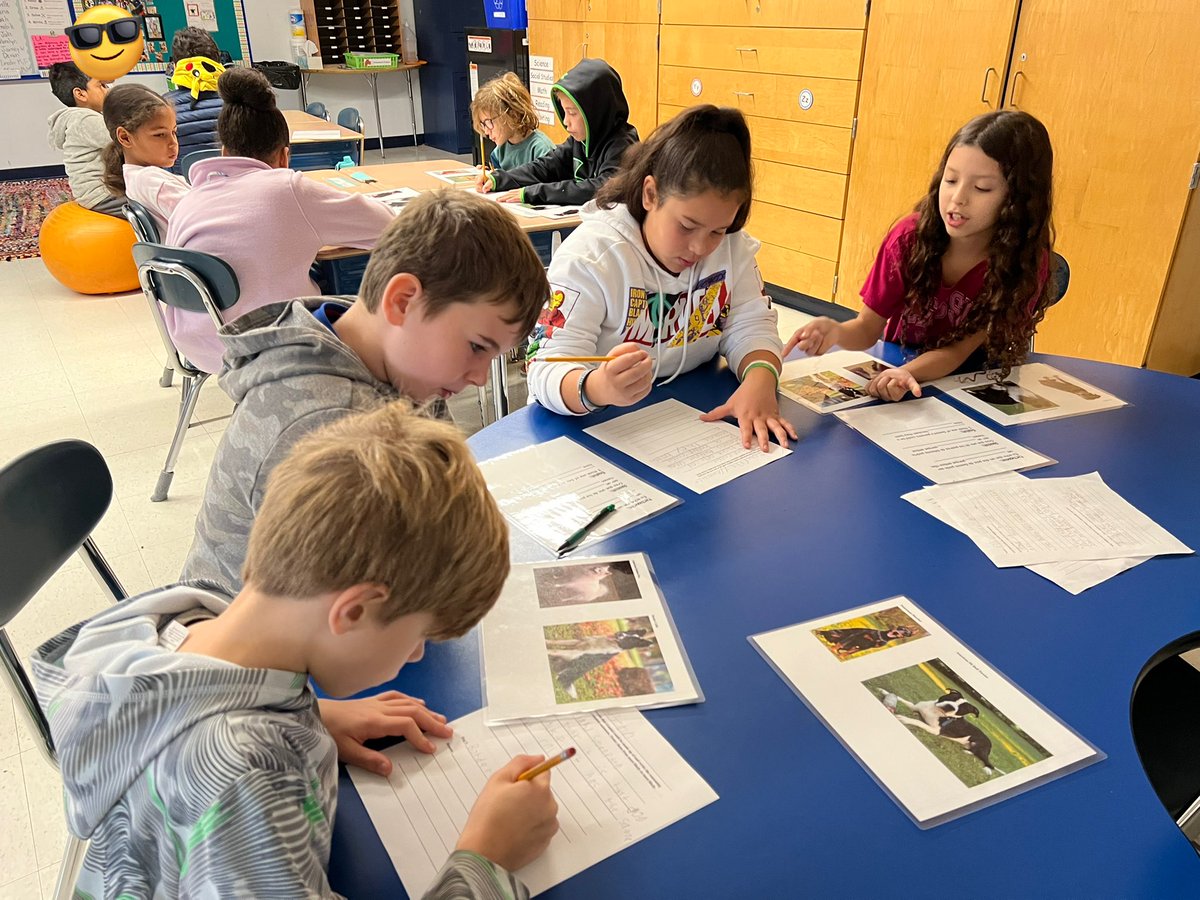 MrsPeterson3rd's tweet photo. Our second culminating activity for our #traits unit was to determine what breeds my dog is comprised of. Students applied their knowledge about #inheritedtraits, #variation, and #environmentaltraits to make amazing science-based guesses! #3rdgrade @sps_bates @SalemSchoolsk12 https://t.co/qnTxaWn65l