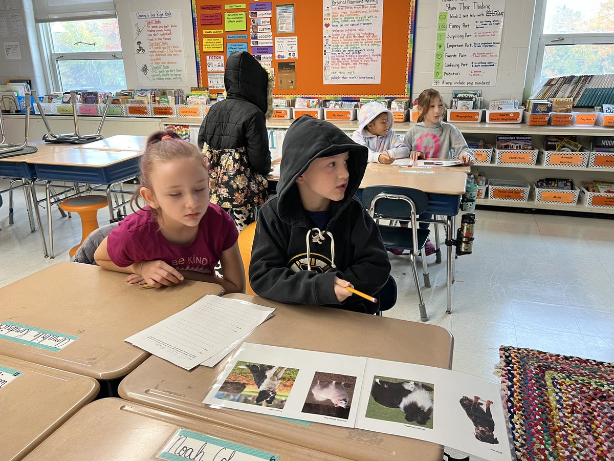 MrsPeterson3rd's tweet photo. Our second culminating activity for our #traits unit was to determine what breeds my dog is comprised of. Students applied their knowledge about #inheritedtraits, #variation, and #environmentaltraits to make amazing science-based guesses! #3rdgrade @sps_bates @SalemSchoolsk12 https://t.co/qnTxaWn65l