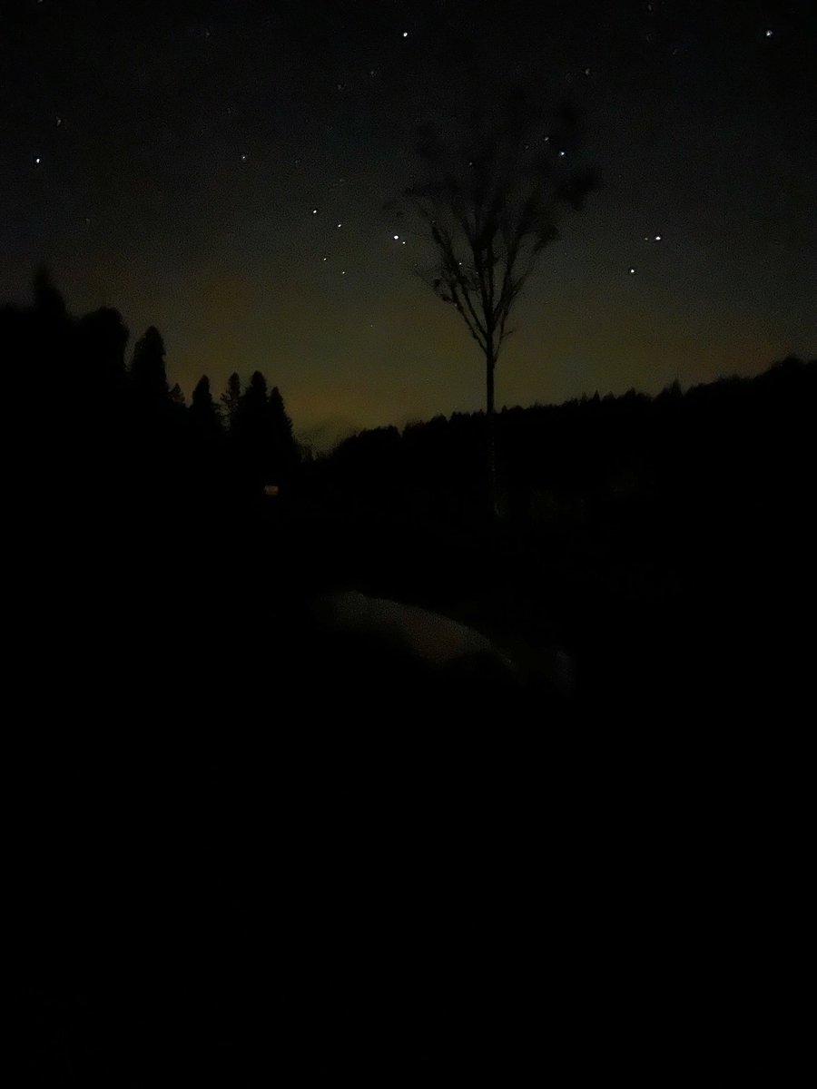 vem1988's tweet photo. Post visit to @gallowayforest Dark Sky Park, switch on the telly and @martin_compston’s show is on highlighting the very place. Some cracking views of the night sky feat Jupiter, Saturn and Mars tonight! #darkskypark #stargazing #scotlandatnight https://t.co/Vj0illeg4I