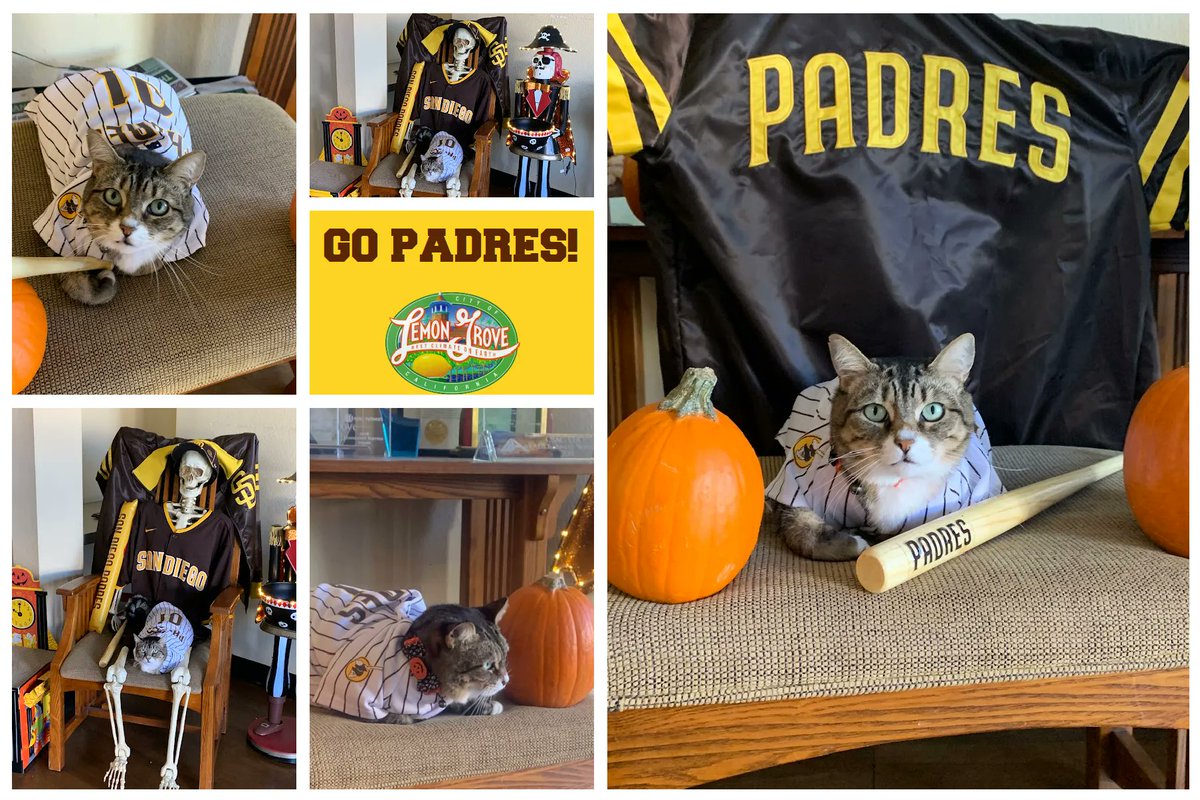 LemonGroveCAgov's tweet photo. Go @Padres ⚾️ 

Never a dull moment at Lemon Grove City Hall. 

Princess Tyga aka City Kitty is all "Friared Up" to see the Padres tonight!

#SanDiegoPadres #fearthegoose https://t.co/WxTunyWqQN