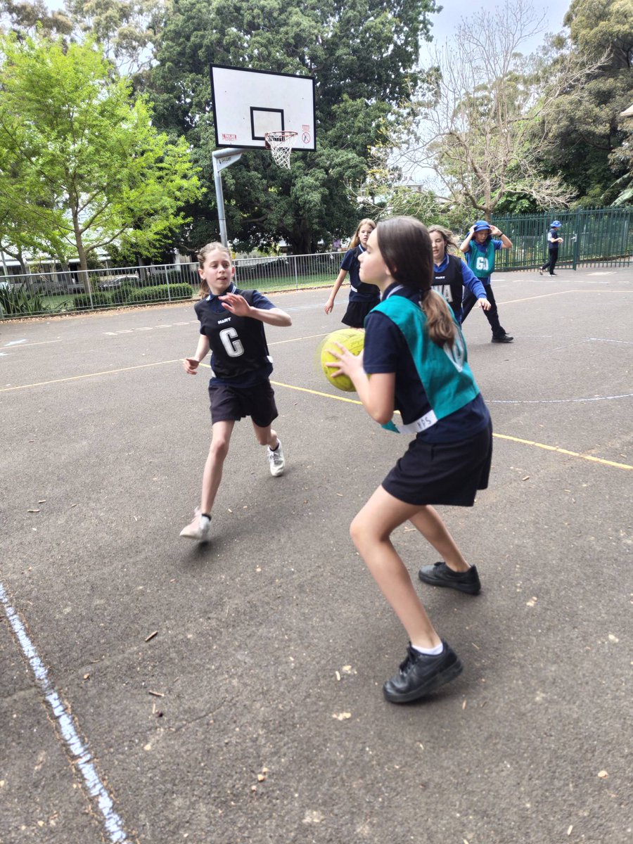 Newtown PS tweet media