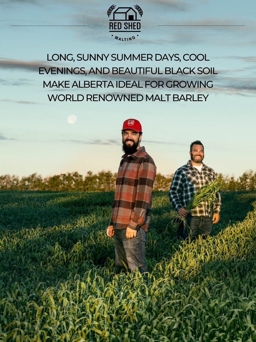 redshedmalting's tweet photo. Itβs #AlbertaBeerWeek ! Check out your local brewery, see what events are happening and celebrate everything #abbeer ! π»
We are enjoying the conference and will be celebrating with our industry friends tonight! π
#unitybrewab #ABBW2022 #acbc2022 @AltaBrewers @ABbeerAwards https://t.co/dOdqZQmG9y