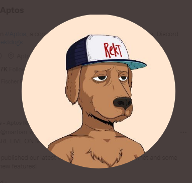 FischerPeter18's tweet photo. Let's join! Cool NFT Project @rektdogs 
Discord open https://t.co/tESEghSiwu https://t.co/73TA97zTfX