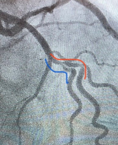 Shariq Shamim tweet media