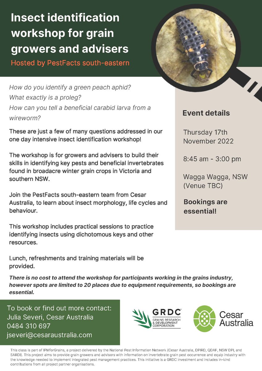 Cesar Australia tweet media