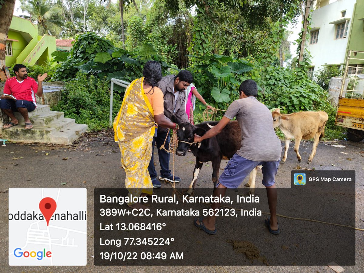 AHVS_Karnataka's tweet photo. ದಿನಾಂಕ : 19/10/2022 ರಂದು, ಬೆಂಗಳೂರು ಗ್ರಾಮಾಂತರ ಜಿಲ್ಲೆಯಲ್ಲಿ, ಜಾನುವಾರುಗಳಿಗೆ ಚರ್ಮ ಗಂಟು ರೋಗದ ಲಸಿಕೆ ಕಾರ್ಯಕ್ರಮವನ್ನು, ಡಾ. ನಾಗರಾಜು, ಉಪನಿರ್ದೇಶಕರು ರವರ ನೇತೃತ್ವದಲ್ಲಿ ಹಮ್ಮಿಕೊಳ್ಳಲಾಯಿತು.
#Banglorerural #LSDVaccination https://t.co/vqbQiM3IXh