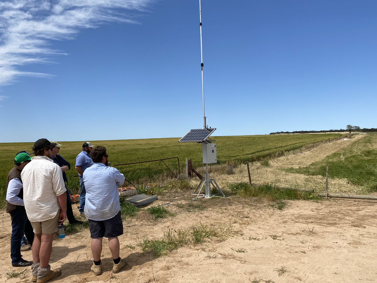 Lou Flohr tweet media