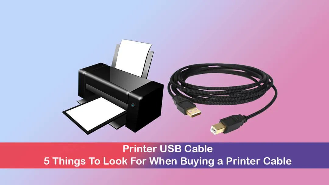 techfoogle's tweet image. Printer USB Cable: 5 Things To Look For When Buying a Printer Cable 
techfoogle.com/best-printer-u…

#PrinterUsbCable #Printers #USB #Accessories #BestUSBCableForPrinters #BestPrinterCables #News #Gadgets #Technology #Guide