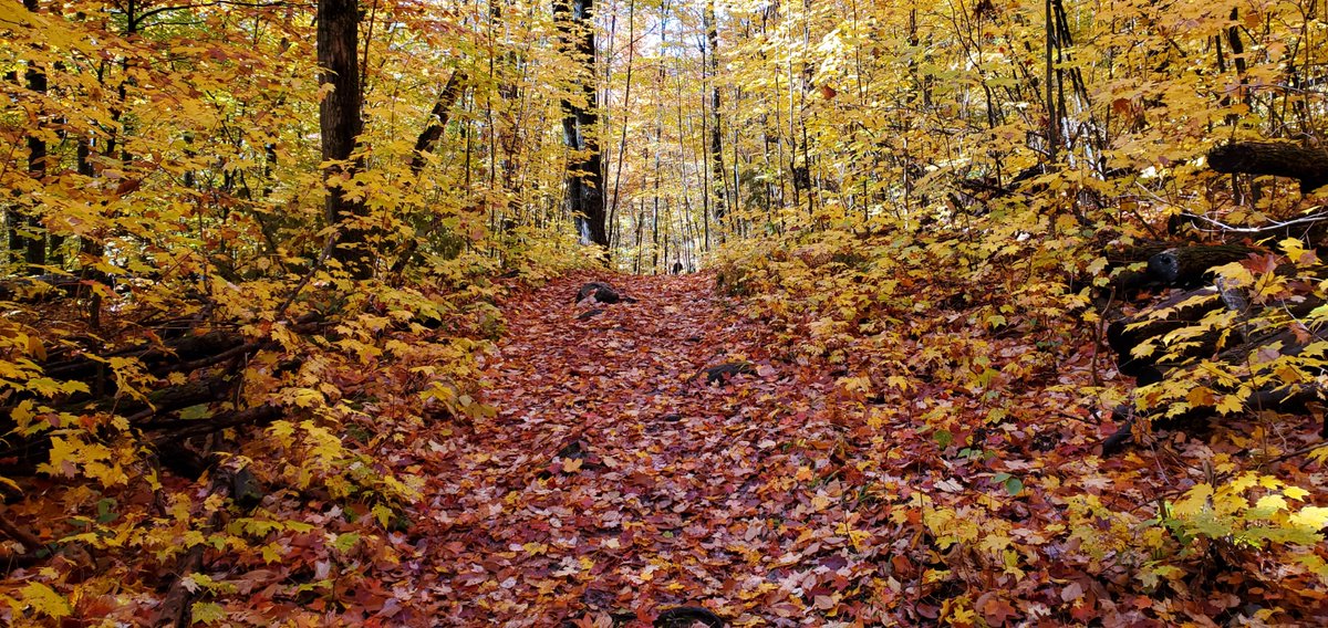 Skinouk/Ski+ 🍃19 octobre 🍂 - Inscription H23 - mailchi.mp/316cc363c54f/s…