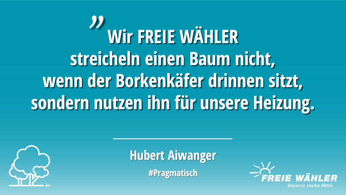 #Energieversorgung pragmatisch! 💪🌳'Wir #FREIEWÄHLER sind die besseren #Grünen, weil wir die Wälder verstehen. Wir streicheln einen Baum nicht, wenn dort schon der #Borkenkäfer drinnen sitzt, sondern nutzen ihn für die Heizung', @HubertAiwanger. 👍🔥