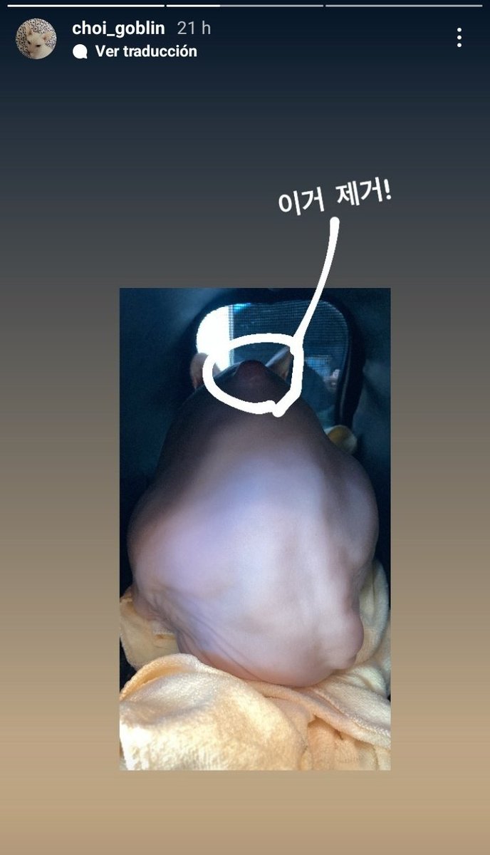 loves_sulli's tweet photo. Today we were made aware through Goblin's IG (@/choi_goblin) that she underwent surgery on her back due to a large red ball that had come out https://t.co/iUchwJAYz8
