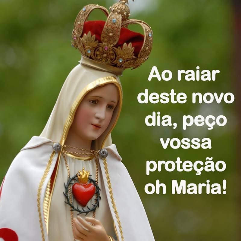 NSenhoraRosario's tweet photo. Amém!? 🙏❤️🌹 https://t.co/sDUHqSAmxe