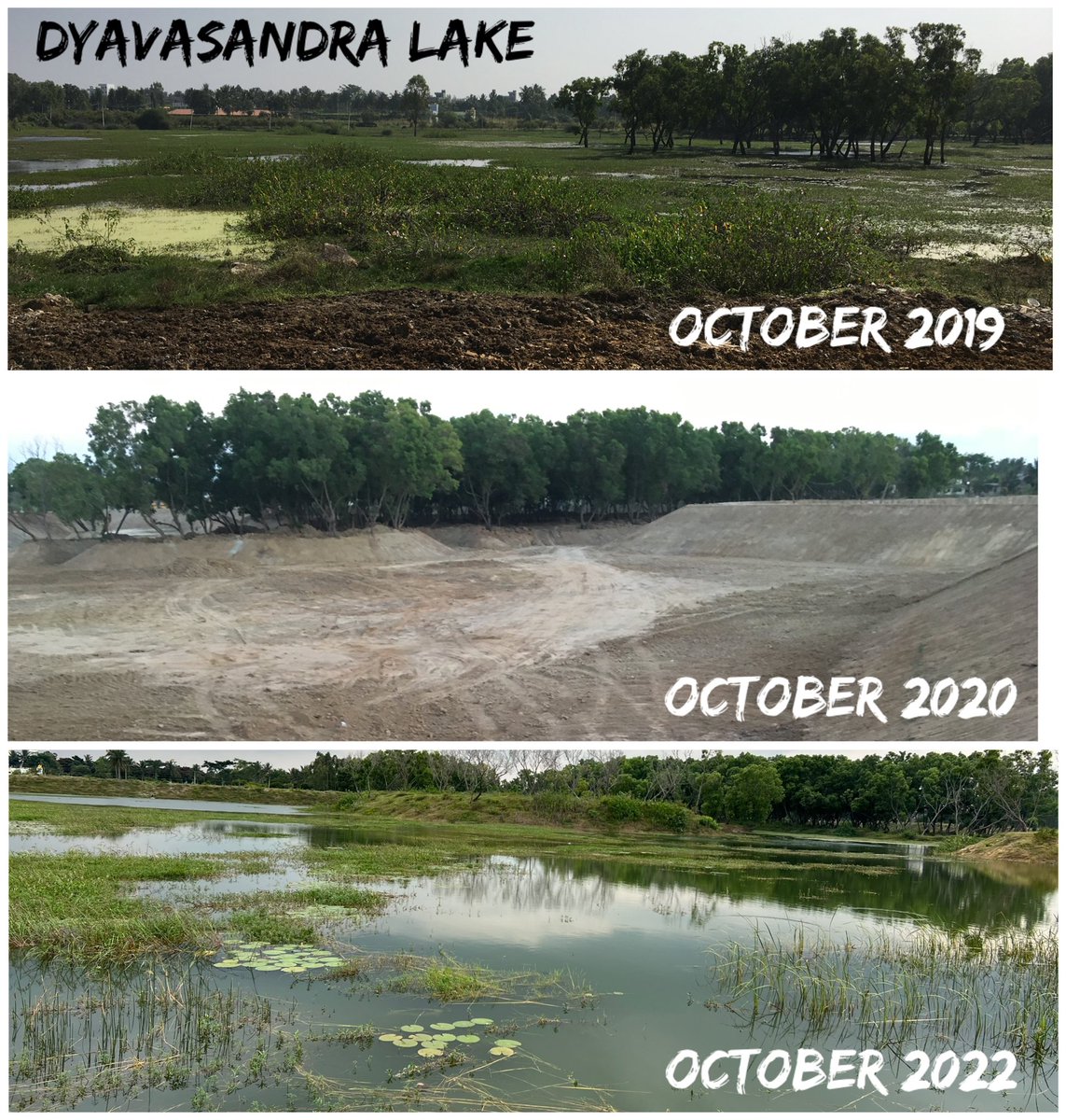 Our 8th project of Dyavasandra Lake,it’s 30 acres,was filled with industrial solid waste &amp; Sewage,we bought back to life in 70 working days,Now it’s shallow wetland for birds &amp; Cows drinking water ,Thanks to <a href="/intel/">Intel</a> <a href="/saytrees_ind/">SayTrees</a> for Supporting