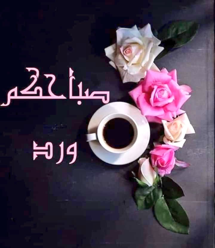 AhmdSyra1's tweet photo. @fz_sh3 اي ولله صح لسانك هذا الكلام الصح https://t.co/c7JUrC4uLt