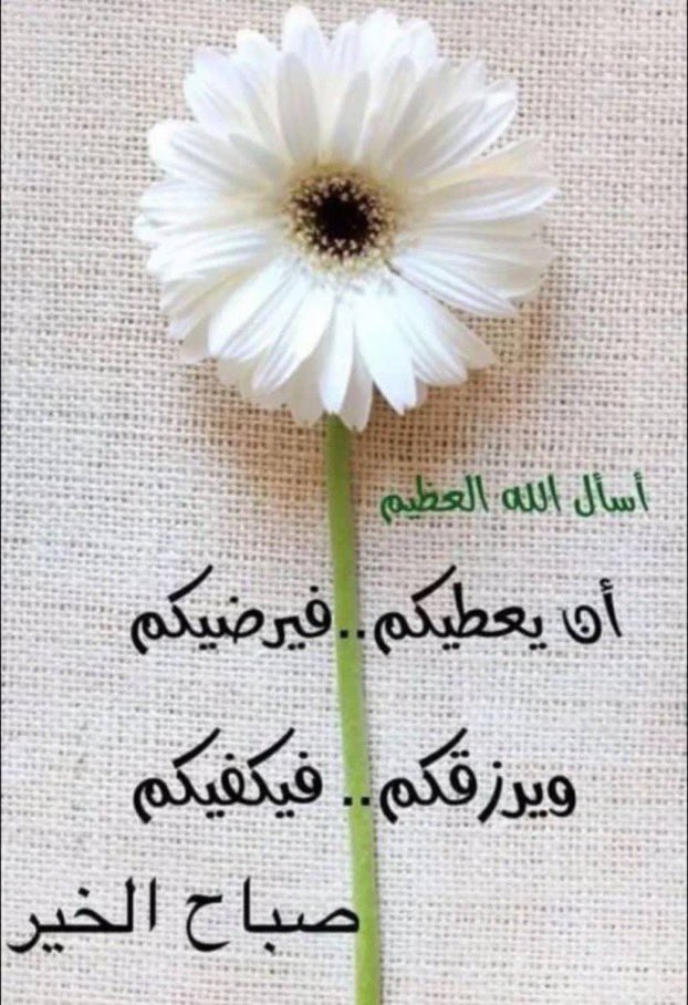aaaamona_39's tweet photo. https://t.co/M8XonGwFYw