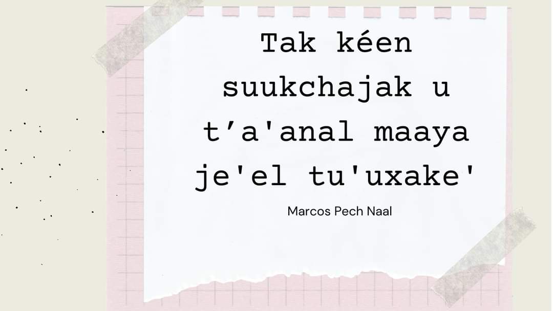 MarcosPechN's tweet photo. Tak kéen suukchajak u t’a'anal maaya je'el tu'uxake'

#maaya
#yaan
#LenguaMaya
#viralpost
#yucatan
#mexico https://t.co/z6sKxVk7cA