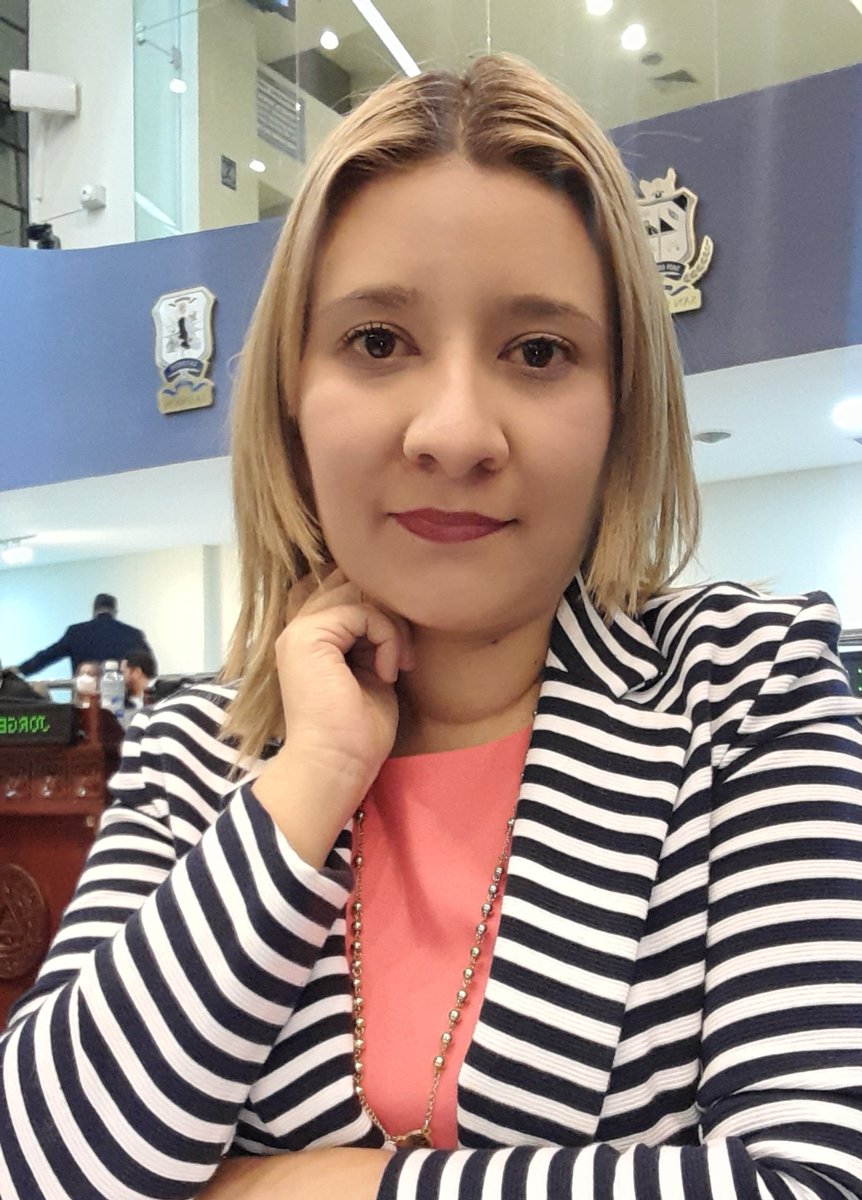 diputadapineda1's tweet photo. 🚨Noticia importante🚨Para nuestros hermanos en el exterior

Este día hemos aprobado "Ley para el ejercicio del sufragio en el extranjero" para que los Salvadoreños en el exterior puedan emitir su voto de forma electrónica y puedan postularse a cargos públicos de elección popular https://t.co/6SY4oD2KKU