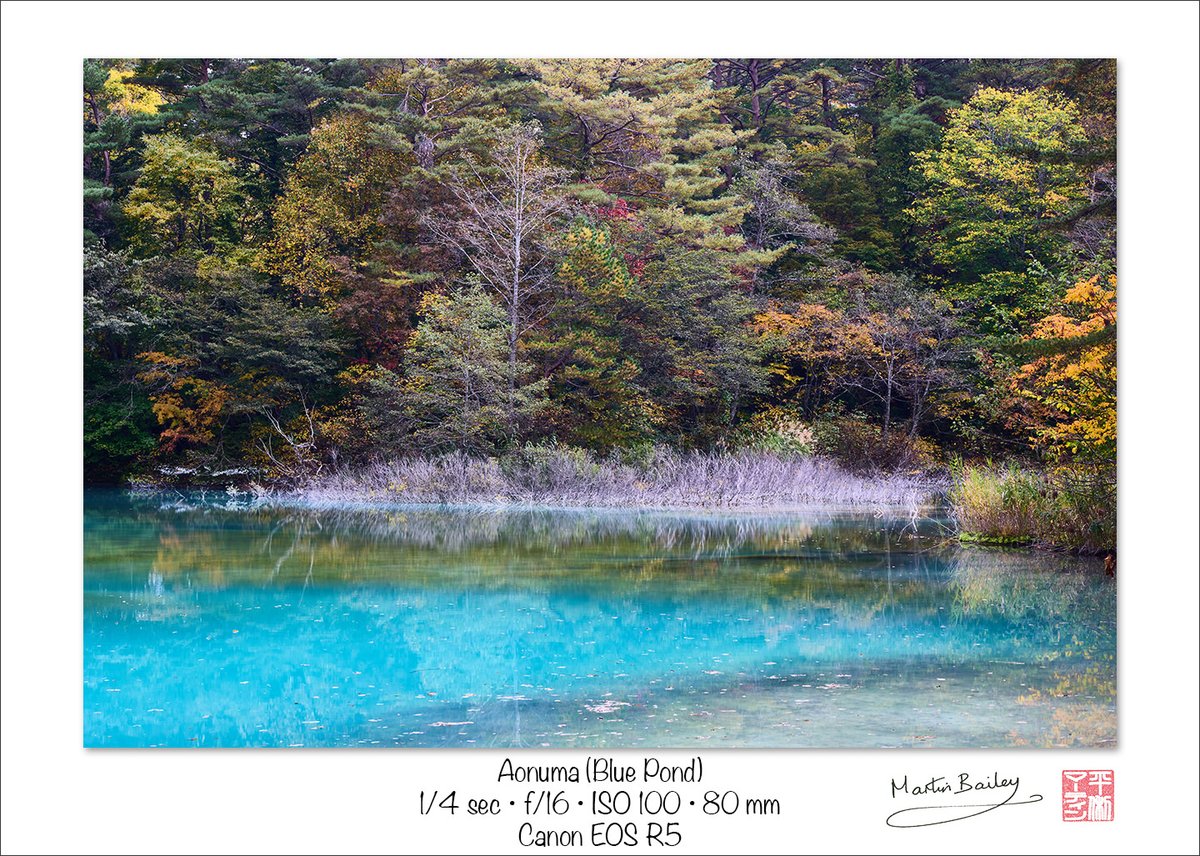 MartinBailey's tweet photo. This is the same pond as my previous post, but from a different angle and elevation. You've gotta love those colors in the Five Colored Lakes (Goshikinuma) in Fukushima. https://t.co/sbZxG70mCS