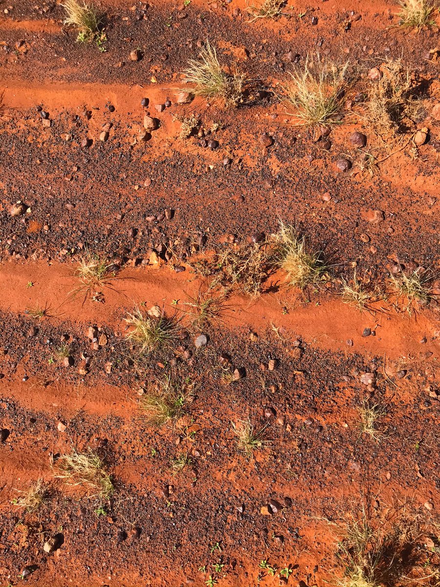 DEM_sagov's tweet photo. Ever wondered why sand in #CentralAustralia is red? Well the outer coating of each grain of #sand contains some #iron which has oxidised(rusted). This is the same for red rocks in the same location each have been coated with iron! Learn more about #ironore https://t.co/RBBnzPUOln https://t.co/n5xUL6nd0r