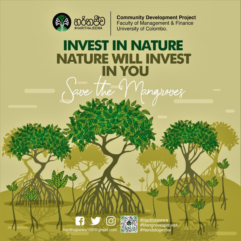 harithajeewa's tweet photo. #projectharithajeewa  #හරිතජීව ☘️
✅ We must not allow the destruction of #mangroves; it is our duty to maintain such environmental integrity as it is of immense help in sustaining human life and other living beings. ❤️
What can we do to #savemangroves...?  🤔👇 https://t.co/aQ0U6Ykl4l