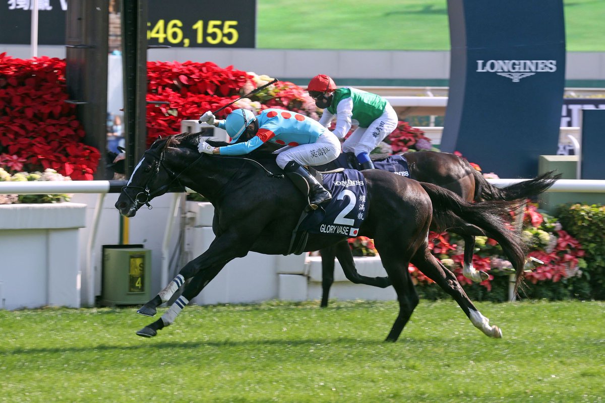 HKJC_Racing's tweet photo. .@LONGINES Hong Kong International Races draws global turf stars. #HKIR #HKracing #競馬
Read here 👉 https://t.co/otNeCDzTDf https://t.co/4W5WjtsL9y