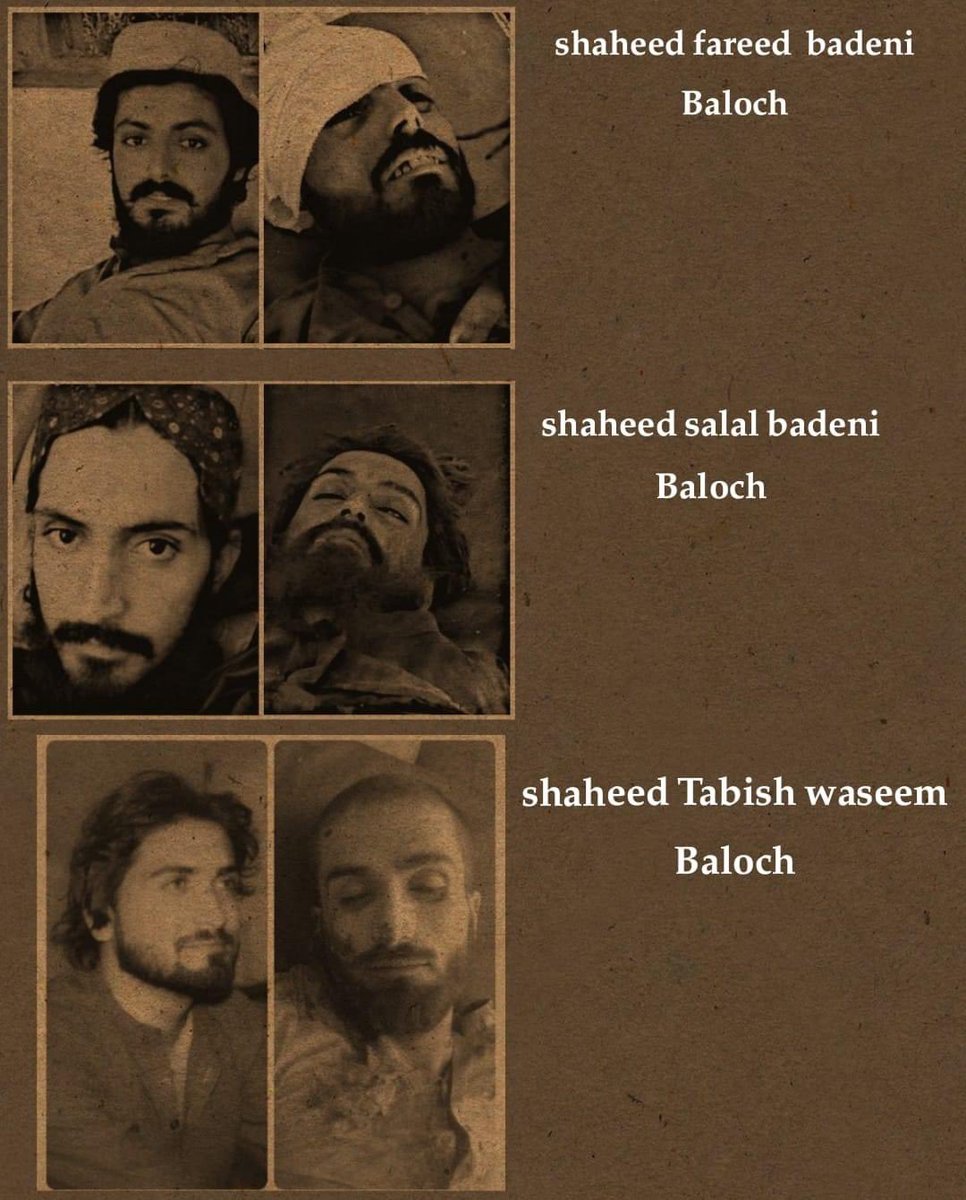 Baloch_Dispatch's tweet photo. Stop killing Balochis 
#StopBalochGenocide 
#Balochistan 
#balochistanisnotpakistan 
#student
#Pakistan https://t.co/CVmXqRLT48