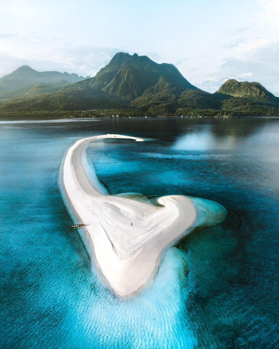 Merr Watson tweet media