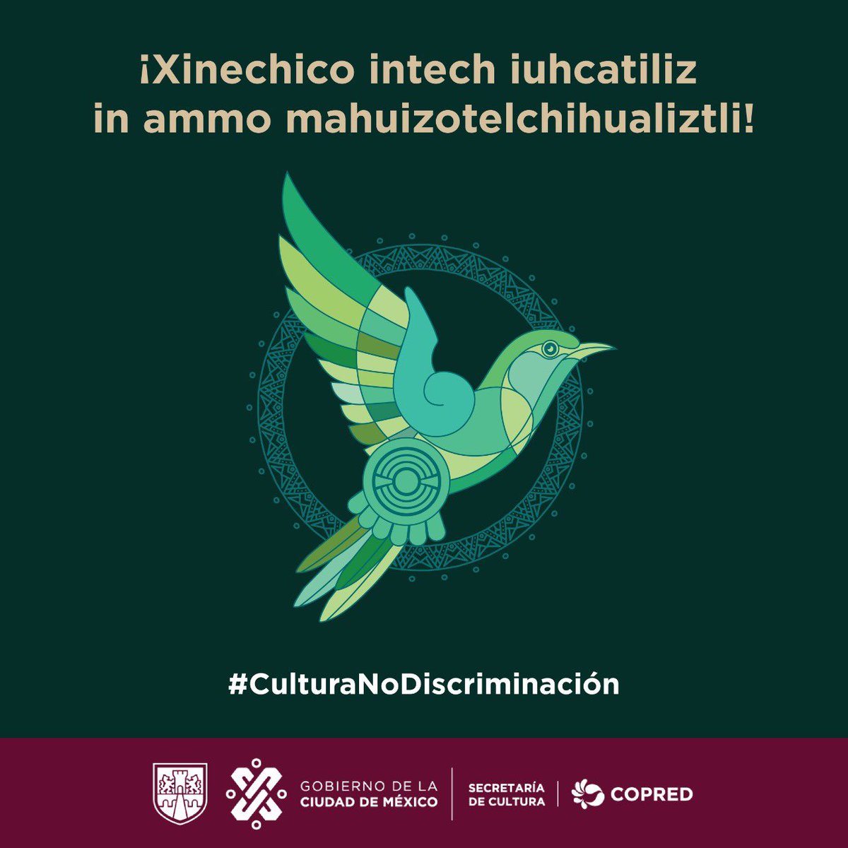 SEPICDMX's tweet photo. 🗓️Hoy es el día

#DíaDeLaCulturaPorLaNoDiscriminación el @GobCDMX encabezado por la Doctora @Claudiashein fomenta una cultura igualitaria en donde todos y todas sus habitantes gocen de las mismas oportunidades. 

#18DeOct #SEPI #ClaudiaSheinbaum https://t.co/BwHgWbXKEv