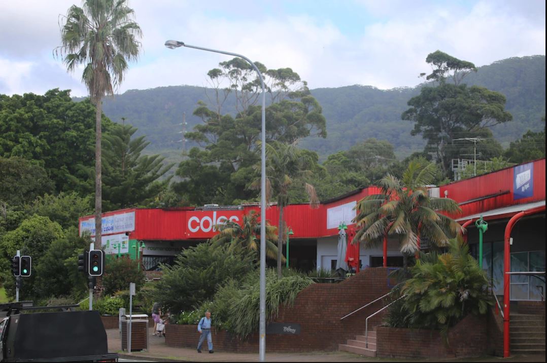 <a href="/Wollongong_City/">Wollongong City</a> backed by Save Thirroul Village has won its case in the NSW Land &amp; Environment Court to reject plans by Thirroul Plaza Pty Ltd to build 77 units above Coles.