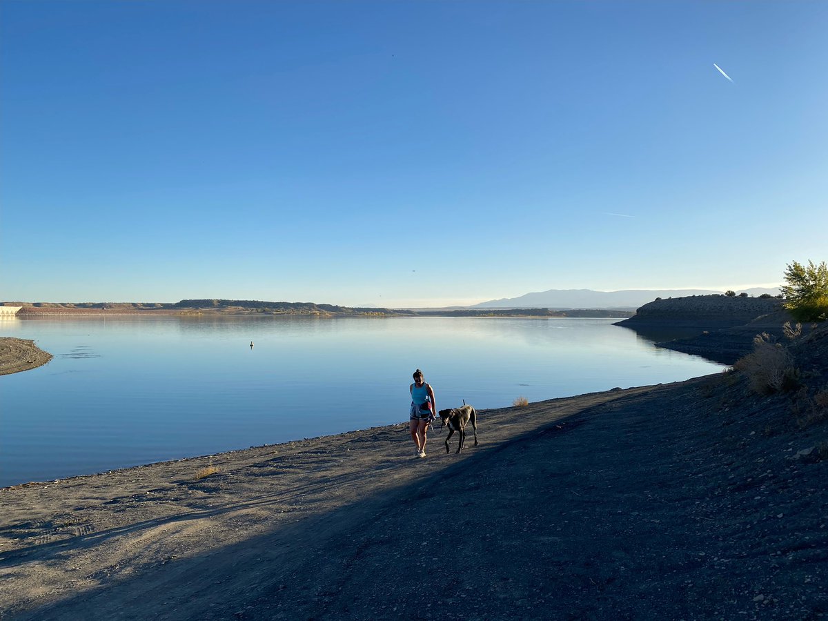 Mrs Lickert tweet media