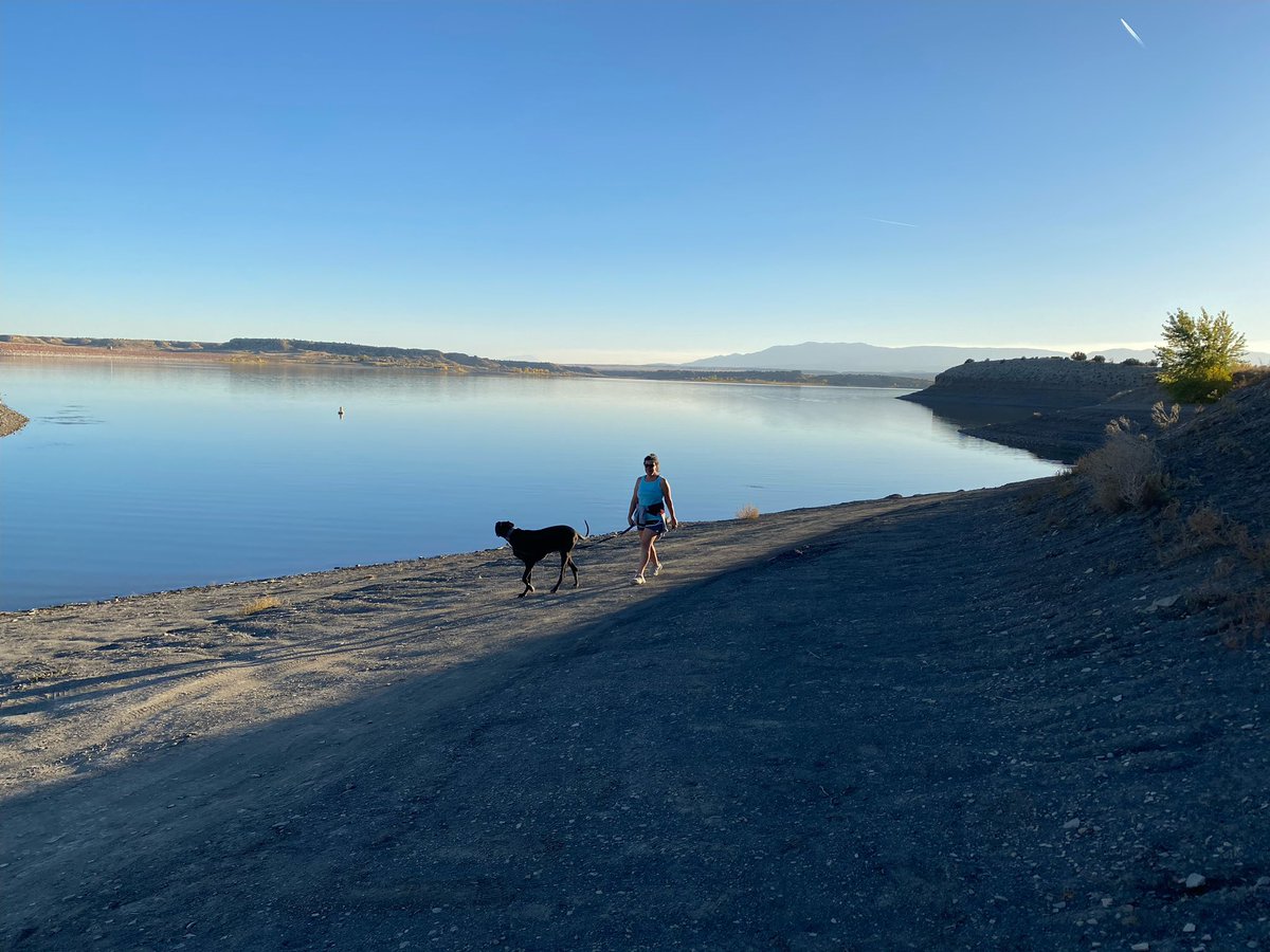 Mrs Lickert tweet media