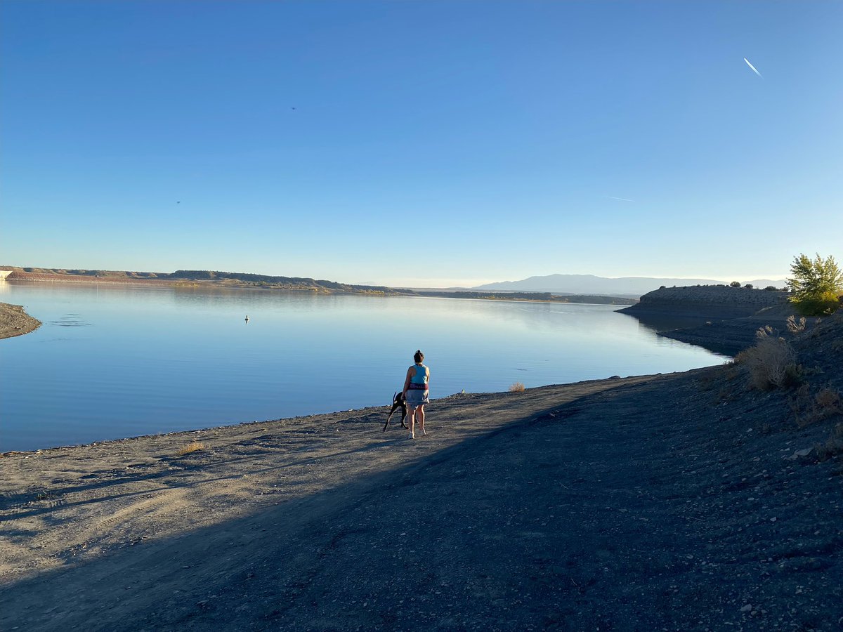 Mrs Lickert tweet media