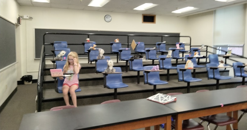 Remembering this past summer when my niece came to visit me at Concord. She wanted her stuffed animals to listen to me teach, but I recently learned how important interactivity is in learning. It took some doing, but we eventually convinced all the animals to participate.