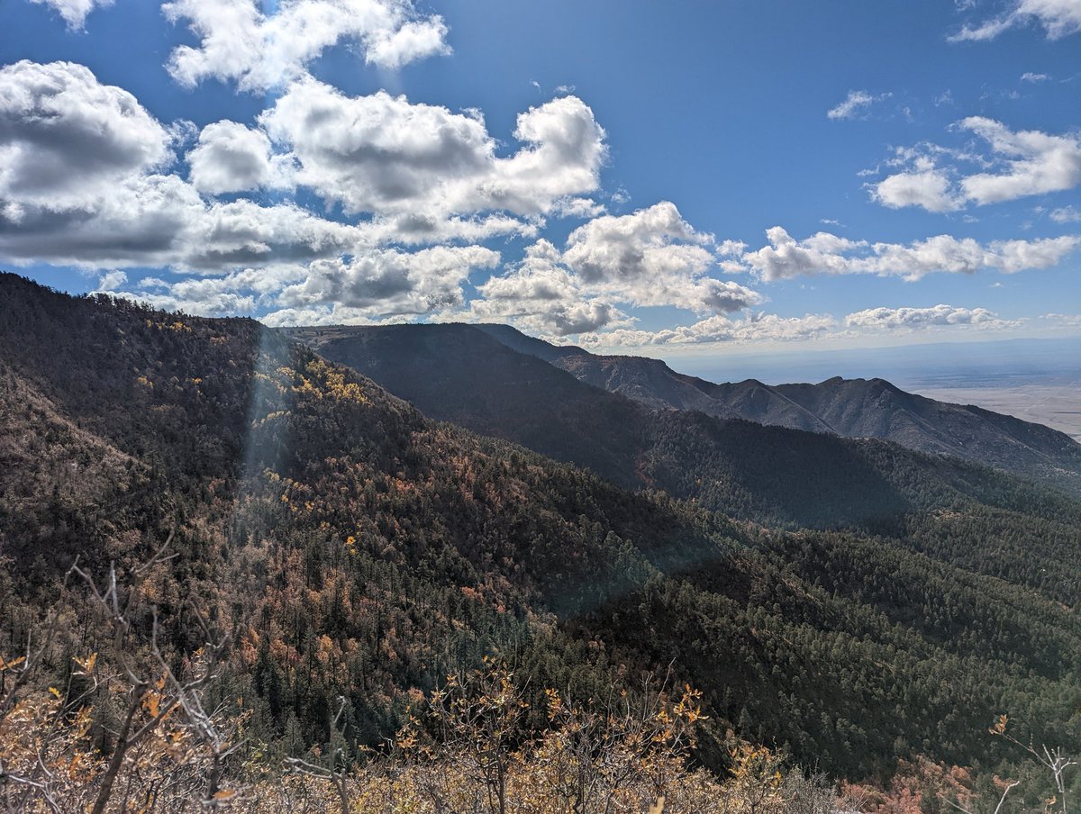 EricDoBrokaWX's tweet photo. Annual trip to 4th of July canyon in the Manzano Mountains didn't disappoint!!
#exploreNM #AutumnVibes https://t.co/J2riKbgtPV