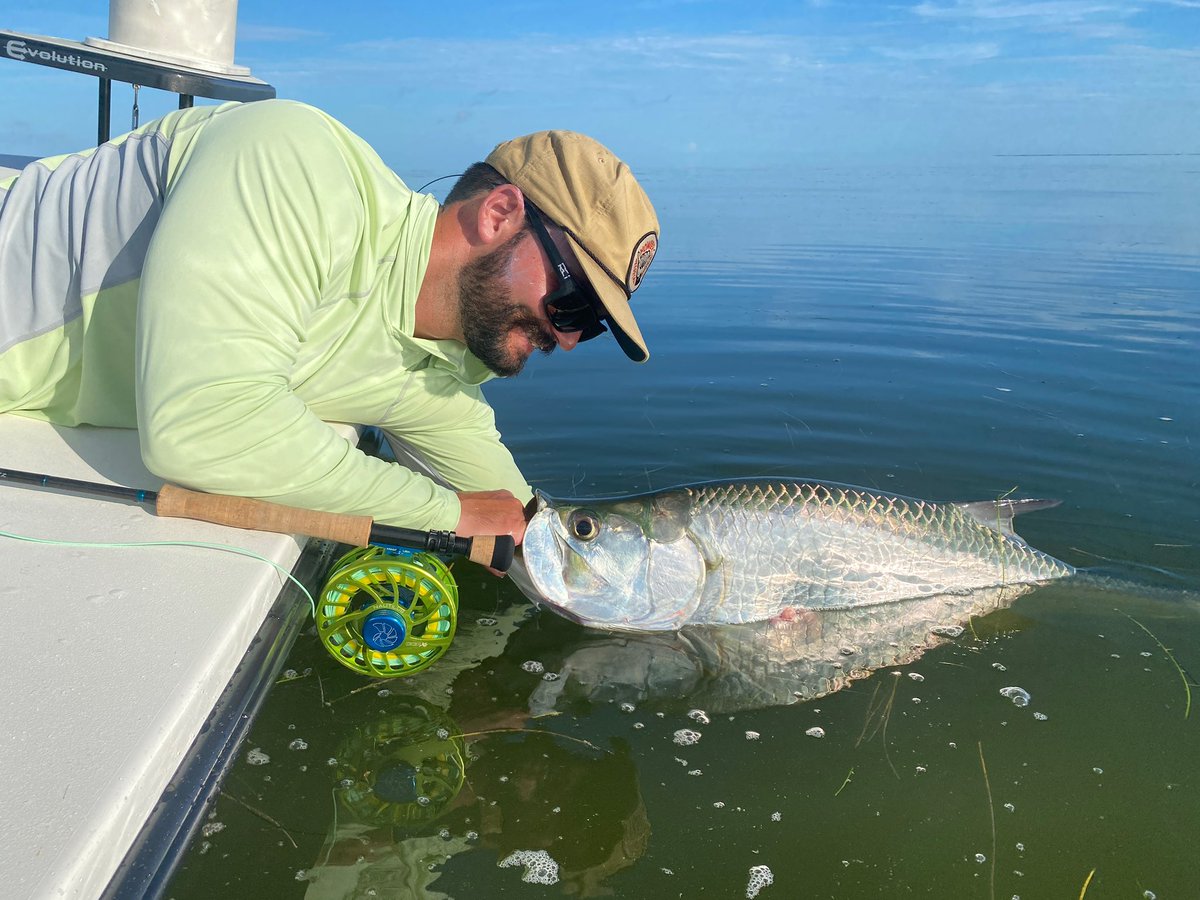 scottflyrod's tweet photo. Juvenile tarpon on a 10-weight Sector.
That two-piece rod is a go-to for tarpon anglers.
Pictured: Brian Butts
Photo: Honson Lau
#flyfishing #flyfish #scottrods https://t.co/SzuJU6GRN9