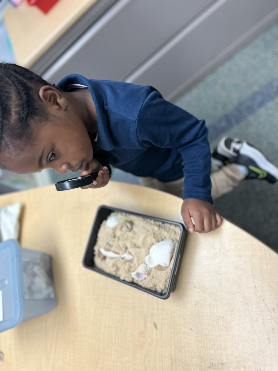 SevenOaksES's tweet photo. Pre-K exploring magnifying glasses 🔎, exploring their minds, and exploring the world 🌎. At Seven Oaks we foster explorers who create the future! #WeAreSevenOaks🦁 @Ken_Patterson @AACountySchools https://t.co/OaaKzzkaJ8