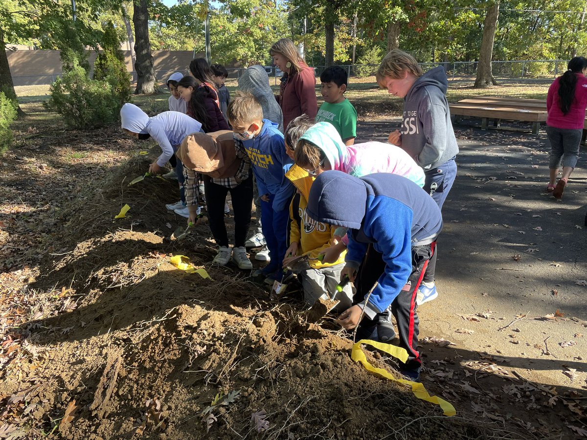 cbdfellows's tweet photo. Our 4th grade students participated in an archaeological dig simulation!⛏@Teachnmomma https://t.co/dITBZMDR8z