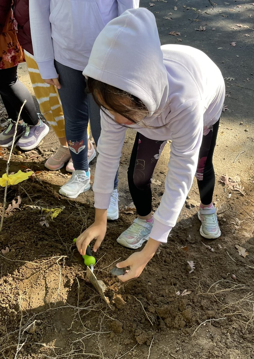 cbdfellows's tweet photo. Our 4th grade students participated in an archaeological dig simulation!⛏@Teachnmomma https://t.co/dITBZMDR8z