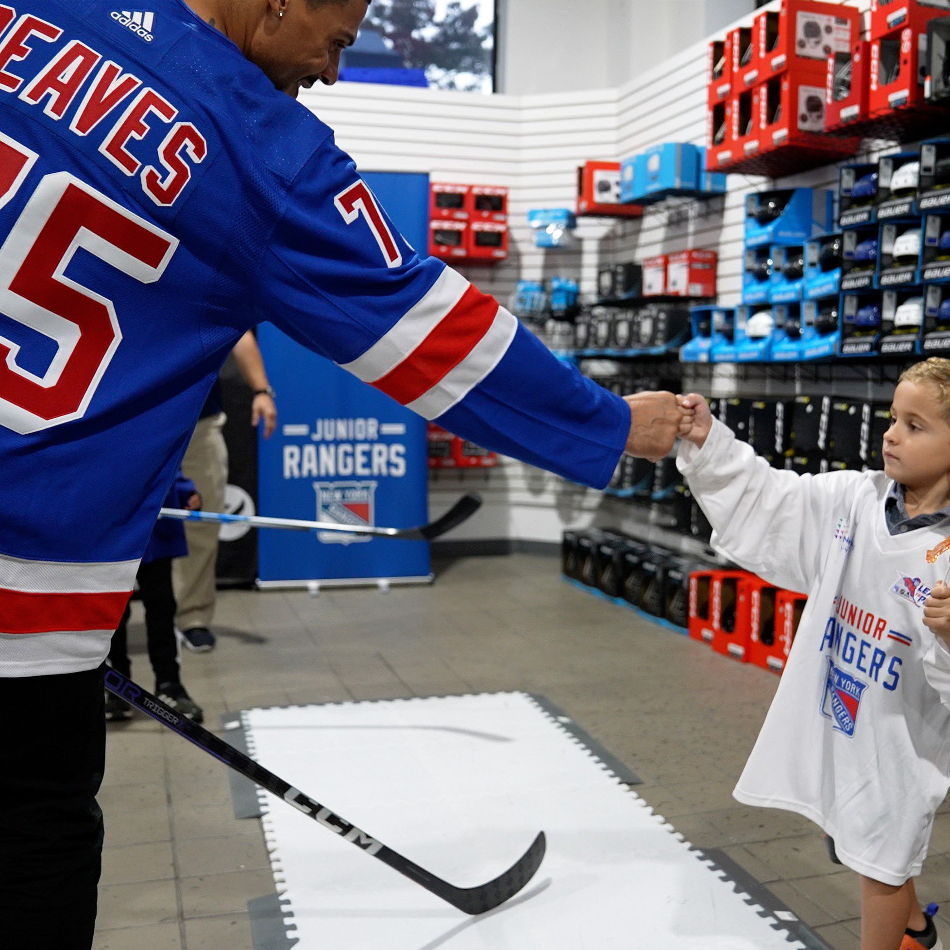 Ryan reaves hockey best sale jersey