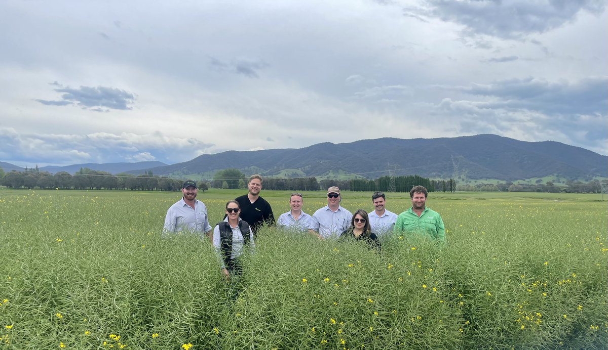 ⁦Spending a few days with the ⁦@NuseedAustralia⁩ team checking out our #canola seed production crops. #valuebeyondyield #nuseed