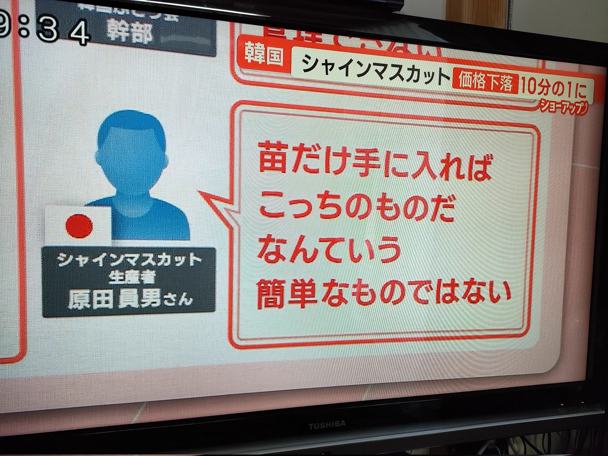 日本の技術は真似できん！日本のシャインマスカットは外国で栽培しても不味かった…。