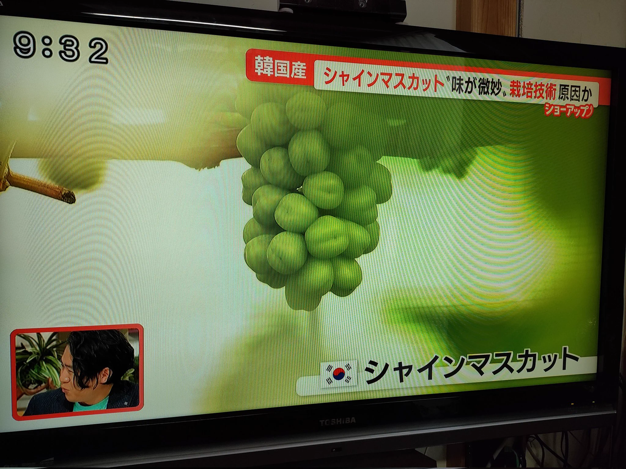 日本の技術は真似できん！日本のシャインマスカットは外国で栽培しても不味かった…。