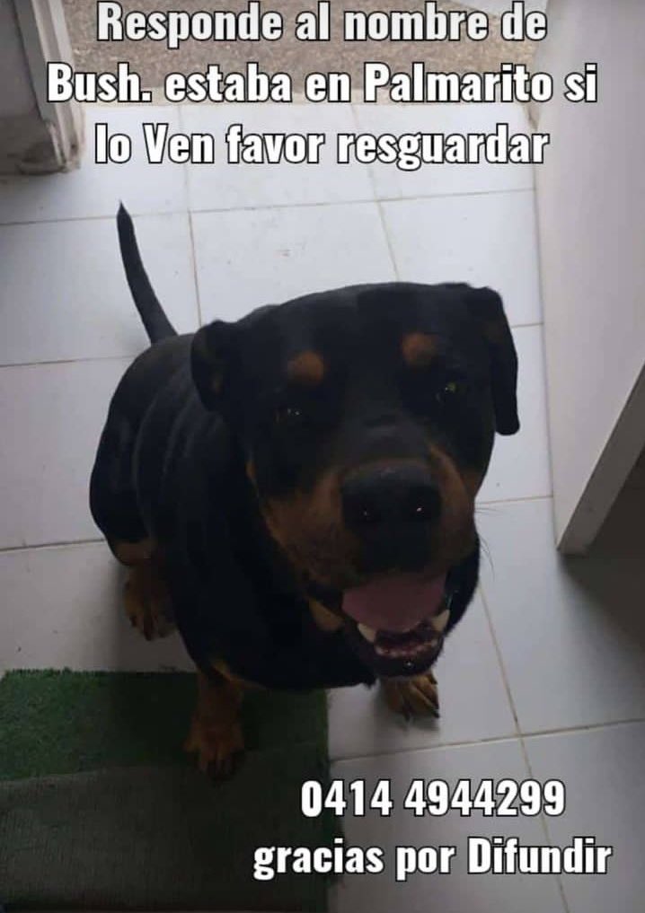 quierounperrove's tweet photo. El Castaño Maracay https://t.co/v2vDXQxAp6