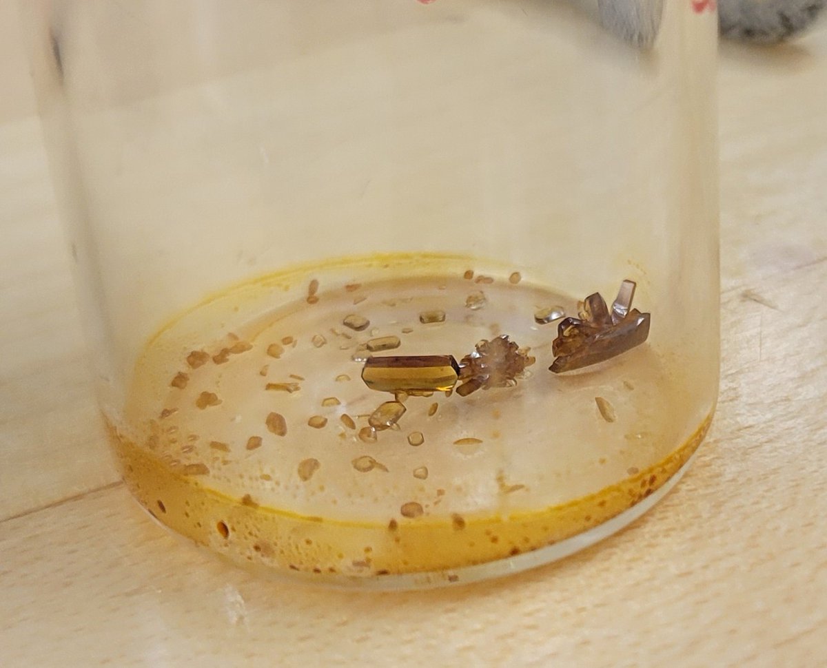 Louise Dawe tweet media