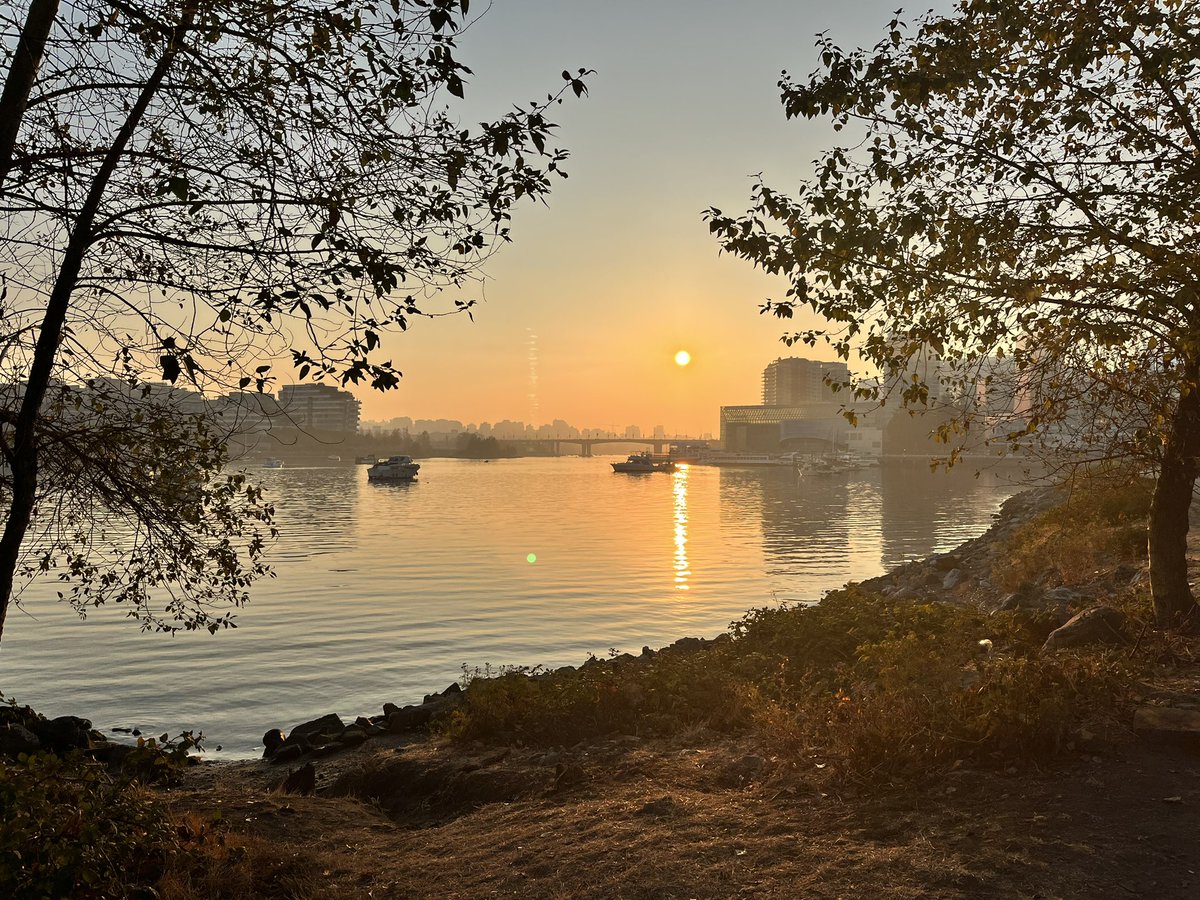 Vancouver currently: Sunny with a chance of PM 2.5 😷

Looking forward to the fresh air in Ottawa tomorrow 😍