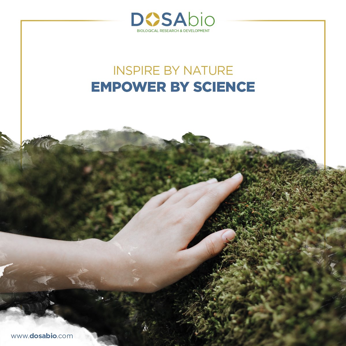 dosa_bio's tweet photo. #dosabio #molecularbiology #biotechnology #diagnostickits #RNAseq #NGS #bioinformatics #virusdiseases #bacterialdiseases #humanhealth #planthealth #animalhealth #partnership #LAMPPCR #realTimePCR https://t.co/a7QSUEzFFr