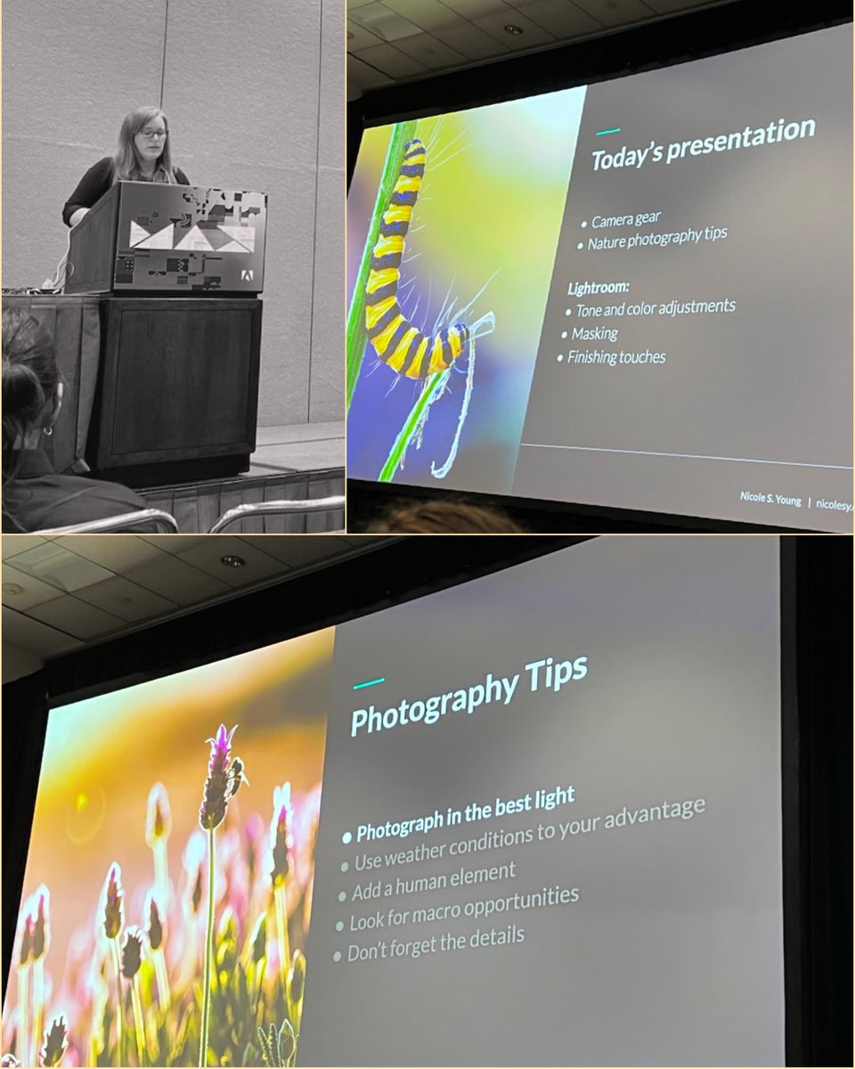 ArtsAdvocate's tweet photo. Tips by @nicolesy @adobemax #Adobe#2022 #AdobeMAX2022 @Lightroom #ThankYou https://t.co/jCzWw7JV5m